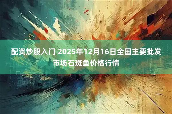 配资炒股入门 2025年12月16日全国主要批发市场石斑鱼价格行情