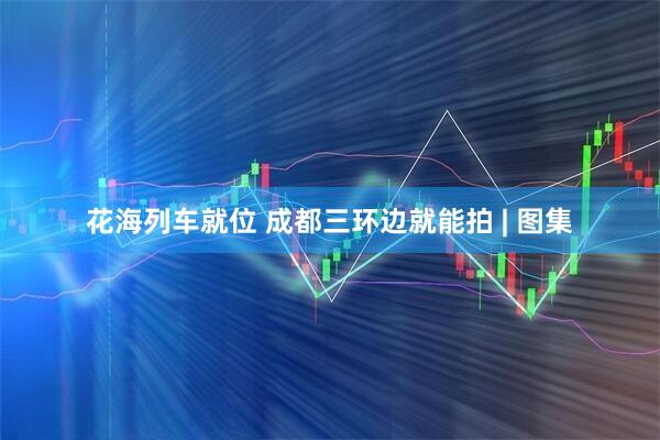 花海列车就位 成都三环边就能拍 | 图集