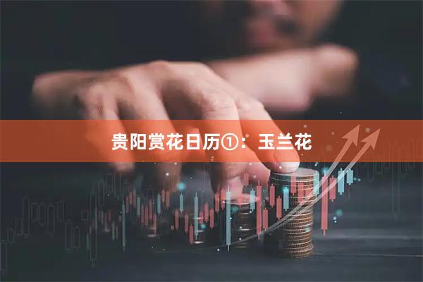贵阳赏花日历①：玉兰花
