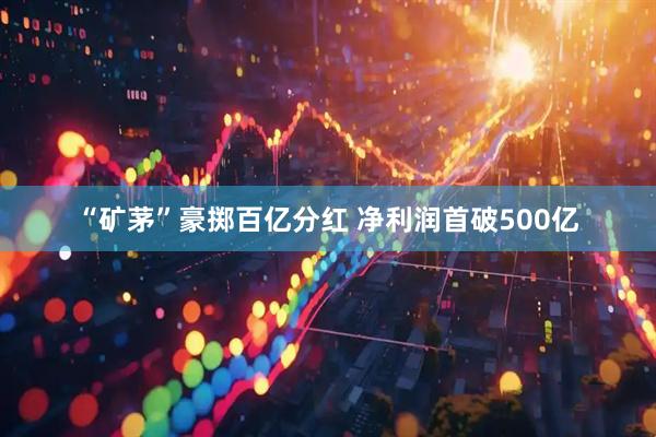 “矿茅”豪掷百亿分红 净利润首破500亿